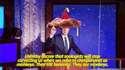 sandandglass:  Stephen Colbert makes proclamations wearing his big furry hat 