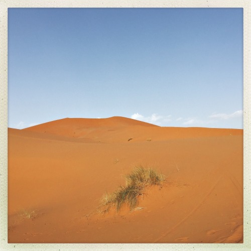 The Sahara. (Part 2)