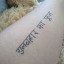 neverloveneverworld