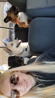 katiiie-lynn:What an absolutely beautiful and sunny 50 degree day! 🥰🌞 We took all 5 pups to the dog park today and they had a blast 💖(Yes we took 2 separate vehicles in order to get all 5 dogs to the park 😅)@mossyoakmaster  It was a great