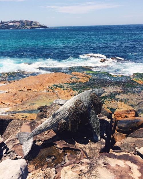 Sydney where has the #sun gone? #sculpturebythesea #shark #message #life #blue #bluesky #clouds #clo
