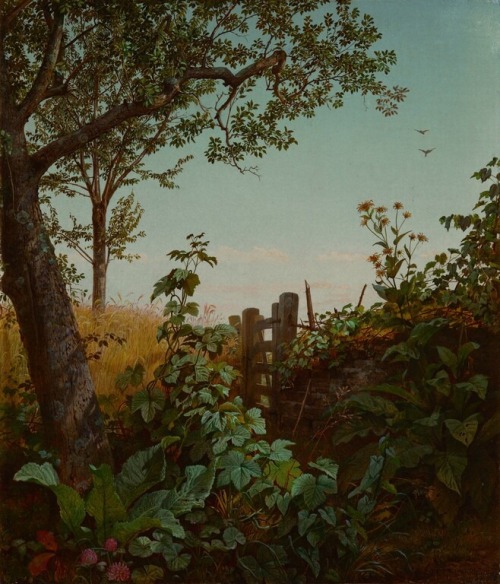 quo-usque-tandem:A Neglected Corner of the Wheatfield by William Trost Richards