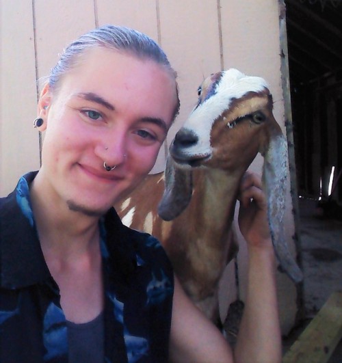 &lt;3 this is what happens when i try to sit down and take pictures of the new lamb