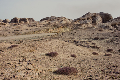 Qinghai Province by Hatty