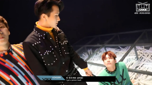 ravi: come here pet !angry puppuhh…curious kittenor a hamster?