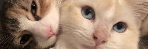 , .