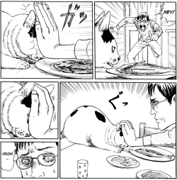 dovewithscales:caterpie:  Ito Junji’s Cat Diary (2009)   I love that one of the most terrifying horror writers also makes comics about his cats. 