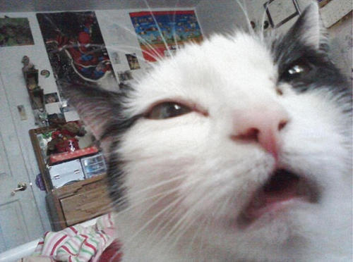 My Account Is Officially Dead Now, YIPEEEEEEEEEEEEEEEEEEEEEEEe