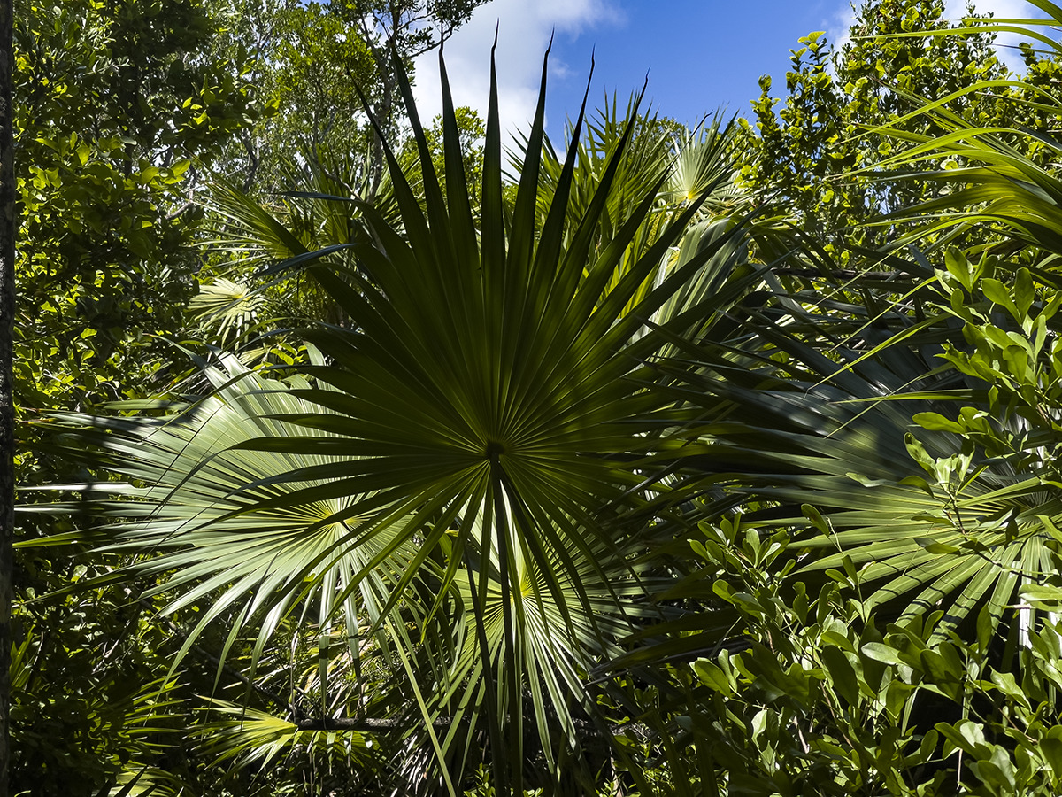 6acd4cd705e17a9b7abb59abcf30a87ba61ee0e0