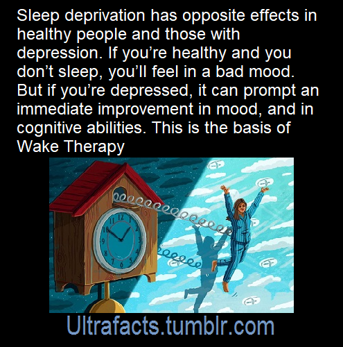 ultrafacts: Source/article: [x] Click HERE for more facts! 
