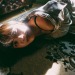 idieinmydaydream:Yada Kinbaku 