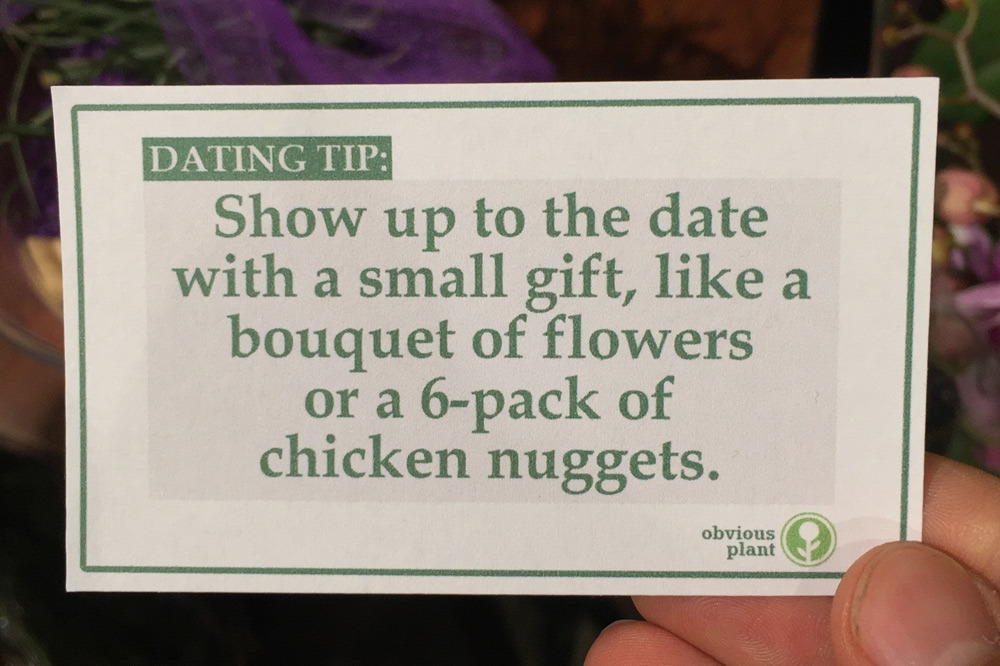 obviousplant:  Free dating advice left in the floral department of a grocery store