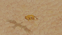 selinaskyle:  Being brave doesn’t mean you go looking for trouble.