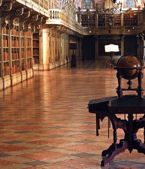 magic-of-eternity:Library of the Palace of Mafra. Portugal