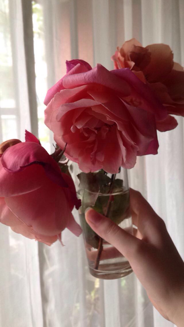 fwckpapi:  Ø