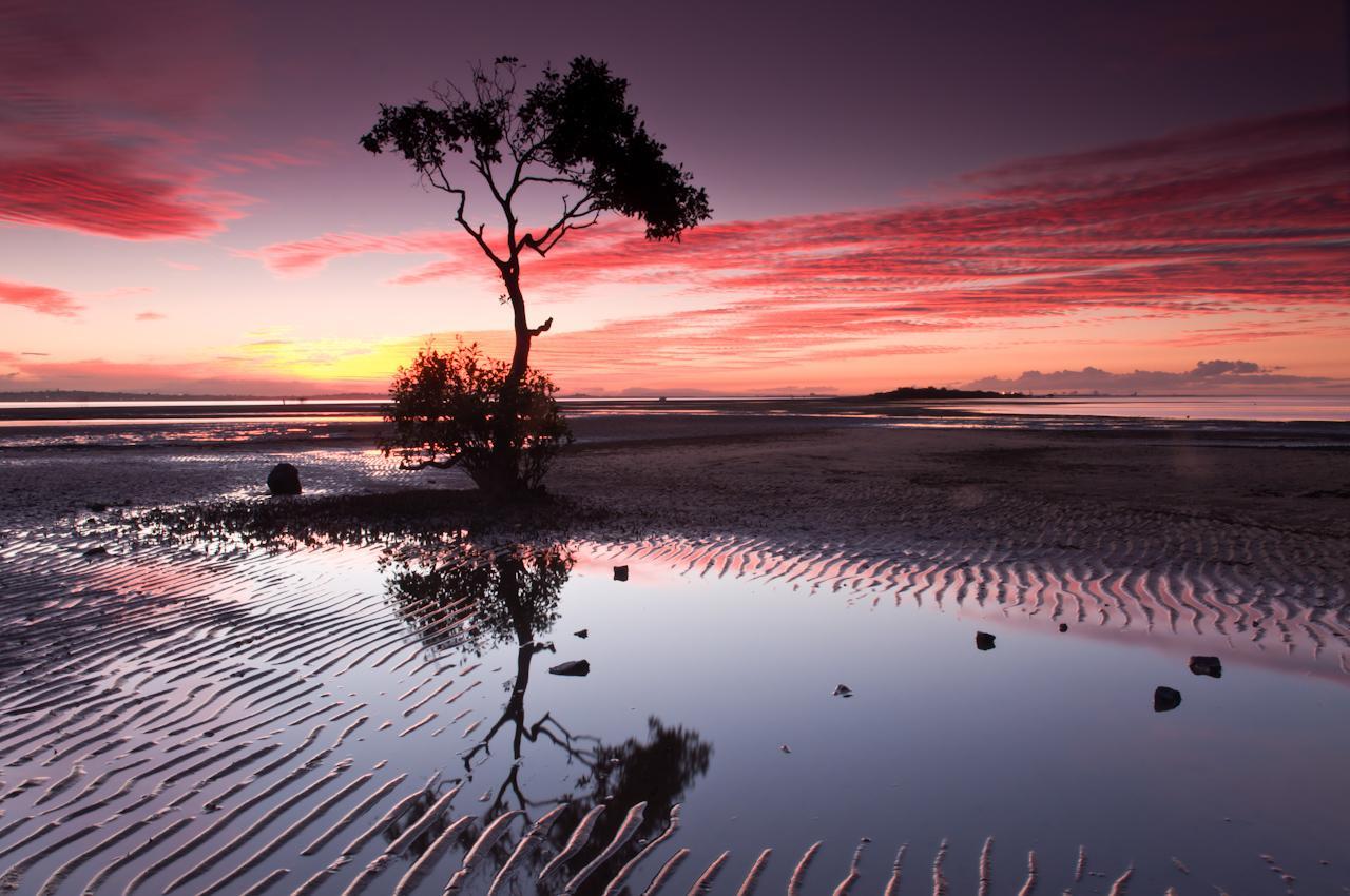 No fluffy title, just a pic of a mangrove tree during sunset at low tide. [1280x850][OC] via /r/EarthPorn http://ift.tt/2rxkbMd