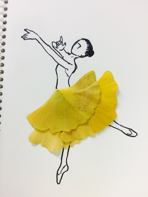 XXX saze-kinto:  Gingko leaves ballet photo