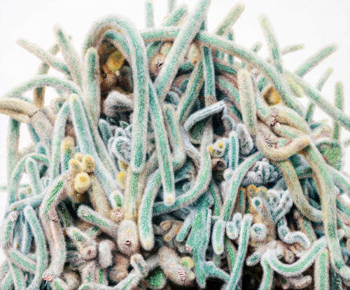 itscolossal:Hyper-realistic Cactus Paintings that Bristle with Detail by Kwang-Ho Lee