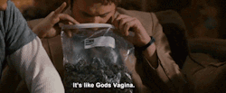 Bestofweed:  Gods Vagina!