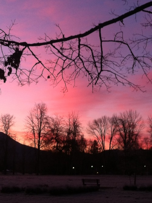 zeppelinhippie: I took this at 7am during December.