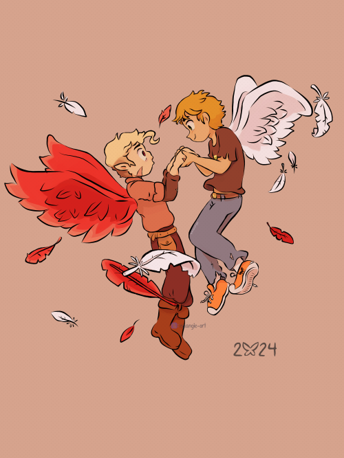 Wings And Feathers