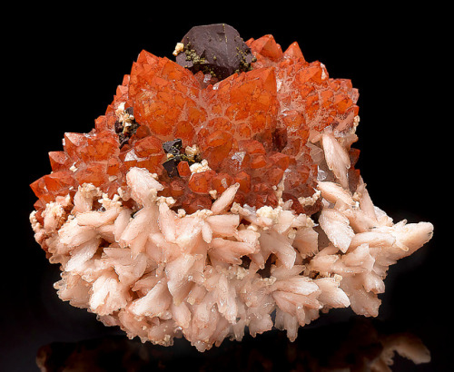 Hematite colored Quartz crystals with Dolomite and Chalcopyrite surrounded by Calcites, from China.