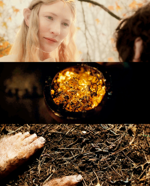 stormbornvalkyrie:All that is gold does not glitter, Not all those who wander are lost ✩