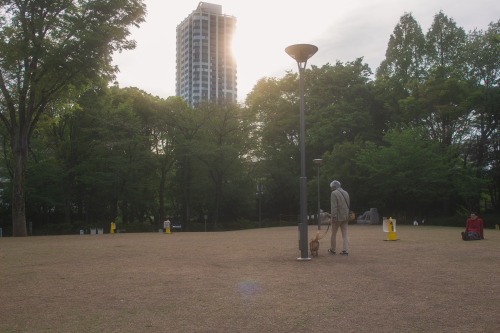  新宿中央公園かつてはちょっとうら寂しい感じの公園でしたが、スタバができたおかげで雰囲気が一変仕事をする人、ワンコのお散歩をする人、ヨガをする人、カメラをもってうろつく人（わたしですが）、う