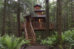 treehauslove:  The Sanctuary Treehouse. A