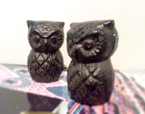 I found this pair of cute little cast wise owls in a local gift shop so I had to have them. My owl c