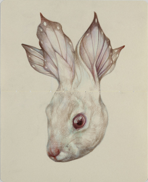 ruineshumaines:  Surrealistic Animal Creatures by Marco Mezzoni on Tumblr.
