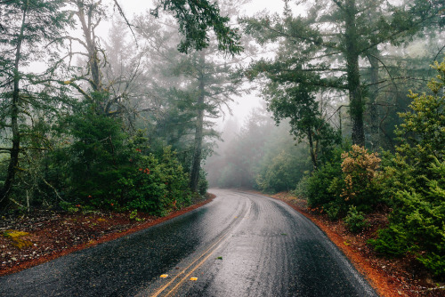 A foggy sunset up in Mount Tam. 