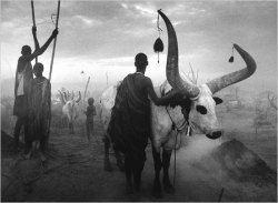 cg54kck:     Sebastião Salgado - Brazilian social documentary photographer and photojournalist   