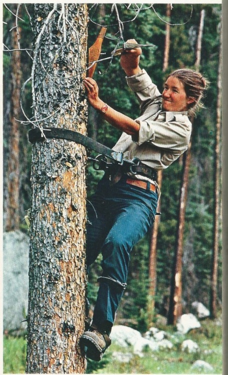 lilwolverine: national geographic, 1980. forest ladies.