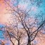 itsmintyrabbit