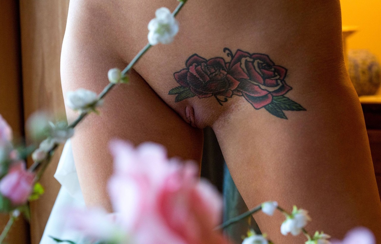 mrmeeto0:   Follow me for more hi quality photos of beautiful panties!    