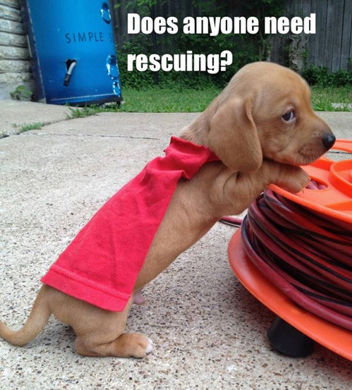 tastefullyoffensive:  [via]
