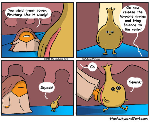 theAwkwardYeti.com