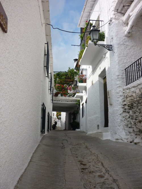 breathtakingdestinations: Bubión - Spain (by Jeanne Menjoulet)   via  Gri