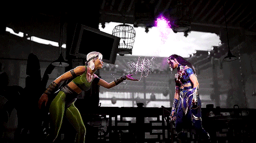 FATALITY! Sub-Zero Wins.