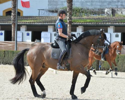 kimblewick: The stunning Nip Tuck working with Carl Hester in Spain. A wonderful testament to w