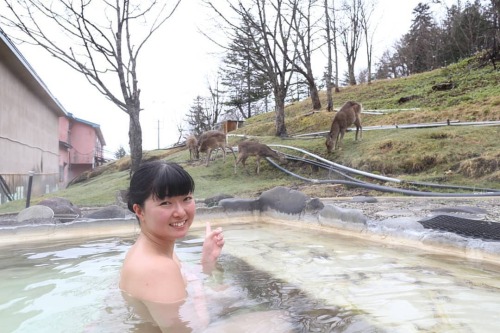 おはよう ・ 昨年のGWに行った北海道 幌加温泉｢湯元 鹿の谷｣ ・ のんびり温泉に浸かってたら 山のほうから鹿さんが ・ おすすめの温泉です！ YouTubeで動画も公開中 yout