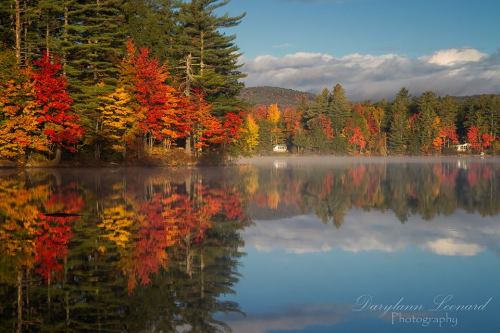 Bear Pond Reflections by Darylann LeonardSource: http://www.facebook.com/darylannleonardphotography/