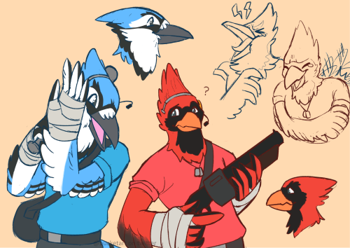 I became possessed and drew all of these in like uuhh 3 days cause i just needed to draw some bird m