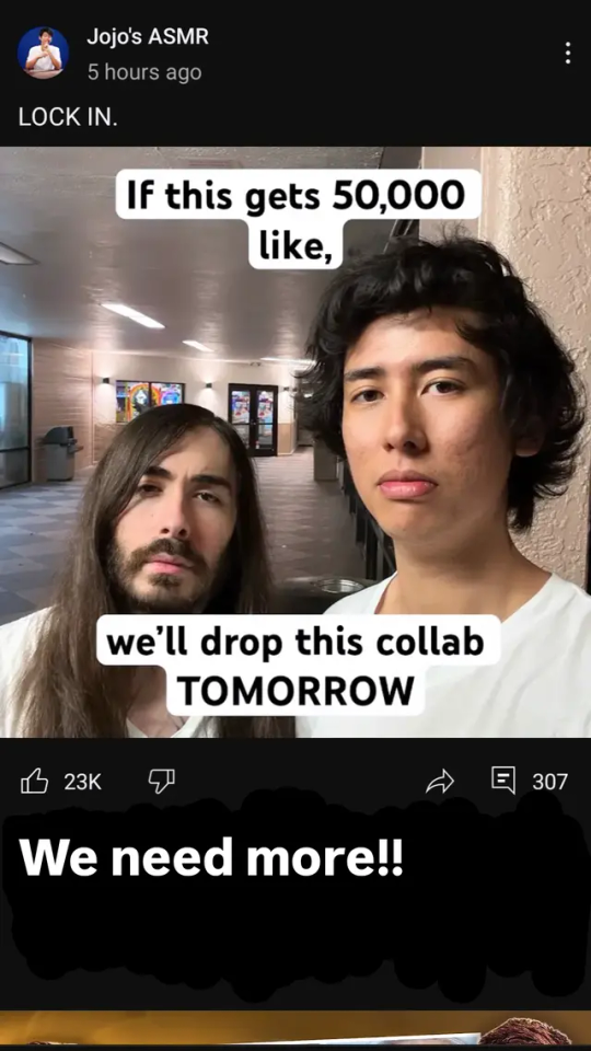 Tumblr media