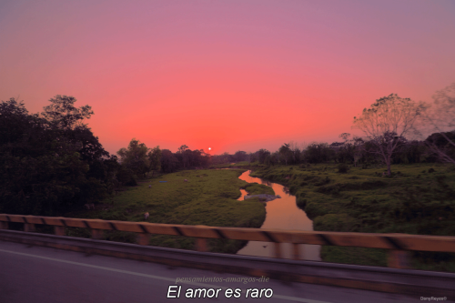 pensamientos-amargos-die:El amor es así…