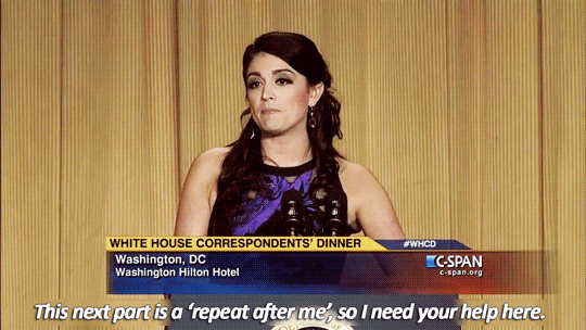 Cecily Strong at the 2015 White House Correspondents’ Dinner     