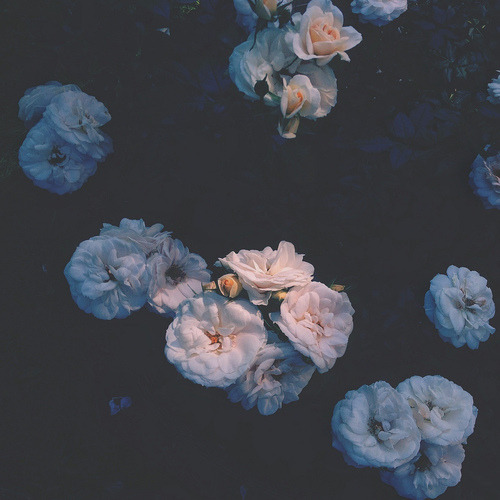 https://o0pepper0o.tumblr.com/post/163890338010