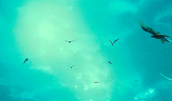 bagginshield:  All we have to decide is what to do with the time that is given us.