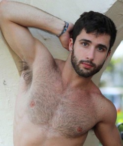 Hairy Men Heaven